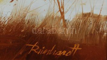 Reinhardt István (1936-): Kis öböl. Olaj, farost, jelzett, keretben, 49×88 cm