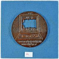 Palotás József (1947-) DN "Rosti Pál Fotóklub Dunaújváros" Br plakett filccel borított falapon (94mm) T:2