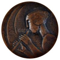 DN "Népművelési Intézet" Br plakett (89mm) T:2