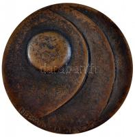 DN "Népművelési Intézet" Br plakett (89mm) T:2