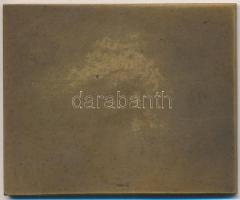 Sződy Szilárd (1878-1939) 1929. "Magyar Sí Klub" Br plakett (57x71mm) T:2