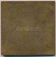 Beck Ötvös Fülöp (1873-1945) 1914. "Báró Harkányi Frigyes" Br emlékplakett (68,5x68mm) T:2