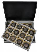 Amerikai Egyesült Államok 2000-2008. 1/4$ (24x) mind klf állam emlékpénze T:1 fekete kivehető tálcás...