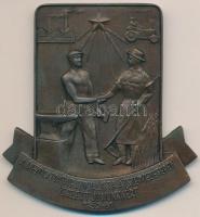 1961. "A mezőgazdaság szocialista átszervezésében végzett jó munkáért" fém emlékplakett (85x82mm) T:2
