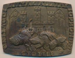 Renner Kálmán (1927-1994) 1969. "Országos Kutyakiállítás Sopron - Győztes" Br plakett (87x114mm) T:2