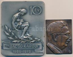 Beck András (1911-1985) 1977. "Dr Weil Emil" Br plakett (68x53,5mm) + DN "Dr Bacsó Károly - 10év" ezüstözött Br plakett (109x89mm) T:2