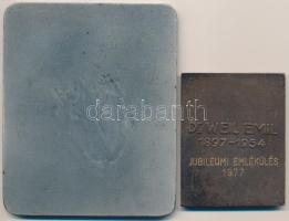 Beck András (1911-1985) 1977. "Dr Weil Emil" Br plakett (68x53,5mm) + DN "Dr Bacsó Ká...