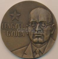 DN "Lengyel Gyula / A szocialista pénzügyek fejlesztéséért" Br plakett (80mm) T:2
