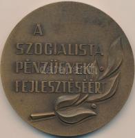 DN "Lengyel Gyula / A szocialista pénzügyek fejlesztéséért" Br plakett (80mm) T:2