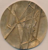 DN Ismeretlen egyoldalas Br plakett (82,5mm) T:2