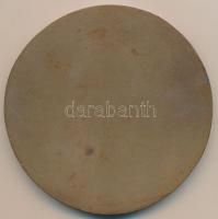 Sz. Egyed Emma (1935-) DN "Johann Reinhard Bünker 1863-1914) Br emlékplakett (105mm) T:1-