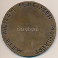 Renner Kálmán (1927-1994) DN "Dr Török Gábor / M.É.T.E. műszaki fejlesztési munkáért" Br e...