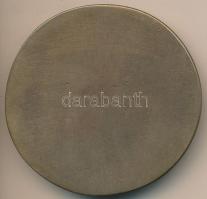 Várhelyi György (1942-) 1979. "Ünnepi Könyvhét 1929-1979" Br plakett (75mm) T:1-