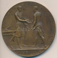 Osztrák-Magyar Monarchia 1916. "Az Osztrák Nemzeti Bank létrejöttének 100 éves évfordulója" Körmöcbányán vert Br emlékérem. Szign.: Stefan Schwartz (69mm) T:1-,2 Austro-Hungarian Monarchy 1916. "100th anniversary of the National Bank of Austria" (Kremnitz) Br commemorative medallion in original case. Sign.: Stefan Schwartz (69mm) C:AU,XF