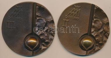 Csíkszentmihályi Róbert (1940-) 1980-1985. "OMÉK - Országos Mezőgazdasági és Élelmiszeripari Kiállítás és Vásásr Budapest" (2x) Br emlékplakettek (78mm) T:2