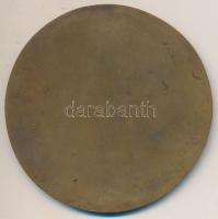 Matzon Frigyes (1909-1986) 1950. "Budapesti Tekéző Alszövetség" Br díjérem (77mm) T:1-