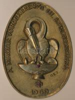 Olcsai Kiss Zoltán (1895-1981) 1969. "A Magyar Vöröskereszt III. Kongresszusa" Br emlékplakett (168x118mm) T:2