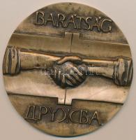 Asszonyi Tamás (1942-) "Barátság olajvezeték 1962-1972" Br emlékplakett (117mm) T:1-,2