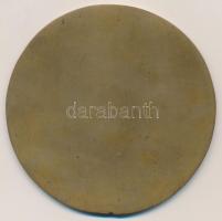 Fritz Mihály (1947-) "Szeged" Br emlékplakett (98mm) T:2