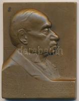 Csillag István (1881-1968) 1913. "lovag Falk Zsigmond 70 éves nyomdászságának emlékére" bronz emlékplakett (60x47mm) T:2