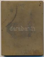 Csillag István (1881-1968) 1913. "lovag Falk Zsigmond 70 éves nyomdászságának emlékére" br...