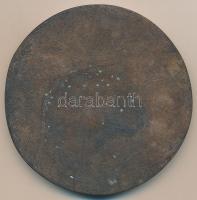 Rózsa Péter (1936-) DN "Magyar Autóklub 1900" Br emlékplakett (114mm) T:1-