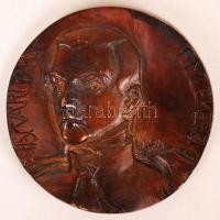 Vígh Tamás (1926-): Vasvári Pál emlék érem. Bronz plakett, jelzett, d:8 cm