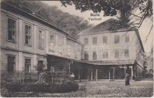 Bazin, Pezinok; Vasfürdő, Machota Dezső kiadása / iron spa (EK)