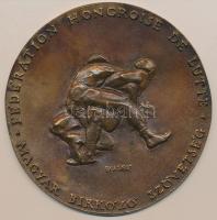 Blaskó János (1945-) DN "Magyar Birkózó Szövetség" Br emlékplakett (143mm) T:1-,2