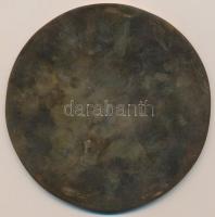 Blaskó János (1945-) DN "Magyar Birkózó Szövetség" Br emlékplakett (143mm) T:1-,2