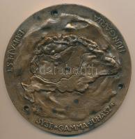 1939. "Hungaria - Budapest - 'Gamma-Juhász' Rendszer" Br légvédelmi plakett több helyen átfúrva (152mm) T:2  Hungary 1939. "Hungaria - Budapest - System "Gamma-Juhász'" Br air defence plaque (152mm) C:XF