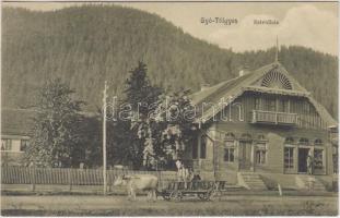 Gyergyótölgyes, Sztrulház, Hirsch Hermann kiadása, Heiter Gy. felvétele / shop