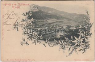 1899 Reichenau, floral (EK)