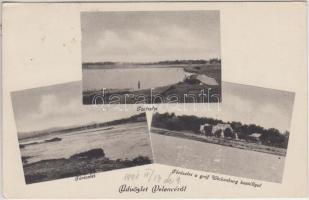 Velence, tó, gróf Wickenburg kastély, Gaál László kiadása