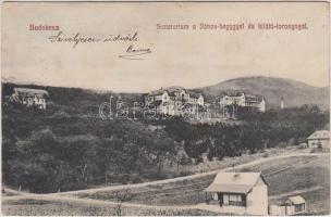 Budakeszi, Szanatórium, János hegy, kilátótorony (kis szakadás / small tear)