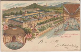 Budapest II. Császár fürdő, belső floral litho (EB)