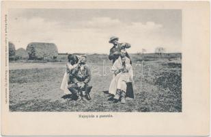 Hortobágy, hajnyírás a pusztán