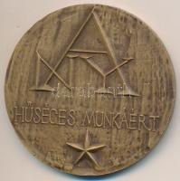 Ligeti Erika (1934-) DN "Debrecen 1561 - Huszár Gál / ANY (Alföldi Nyomda) - Hűséges Munkáért&q...