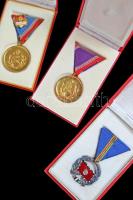 ~1960. "A Haza Szolgálatáért Érdemérem" arany (2x), ezüst és bronz fokozata mellszalagon +...