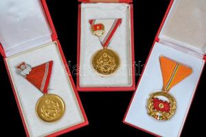 ~1960. "A Haza Szolgálatáért Érdemérem" arany (2x), ezüst és bronz fokozata mellszalagon +...