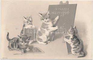 Cat school, Emb. litho