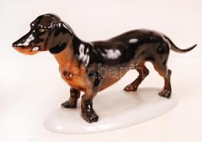 Herendi tacskó, kézzel festett, jelzett, farkán apró festék kopás, m:16 cm, h:33 cm / Herend dachshund, perfect condition