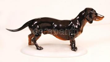 Herendi tacskó, kézzel festett, jelzett, farkán apró festék kopás, m:16 cm, h:33 cm / Herend dachshu...