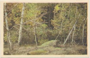 81 db VEGYES történelmi magyar városképes lap és pár motívumlap; magyar, erdélyi, felvidéki, vajdasá...