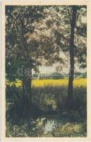 81 db VEGYES történelmi magyar városképes lap és pár motívumlap; magyar, erdélyi, felvidéki, vajdasá...