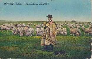 Hortobágy, Juhász (fl)