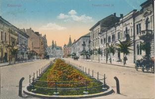 Kolozsvár, Ferenc József út / street