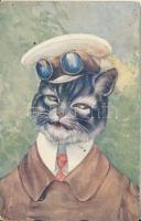 Cat pilot, B.K.W.I. 392-2. (pinhole)