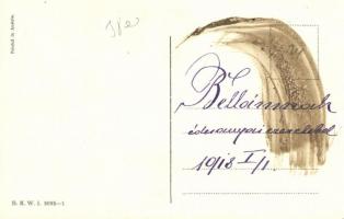 New Year, giant pig B.K.W.I. 3095-1. s: Robert Philippi (fl)