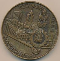 1977. "Békés Megyei MTESZ (Műszaki és Természettudományi Egyesületek Szövetsége) Emlékérem" Br emlékérem (83mm) T:2
